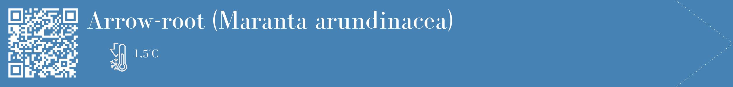 Étiquette de : Maranta arundinacea - format c - style blanche5_simple_simplebod avec qrcode et comestibilité