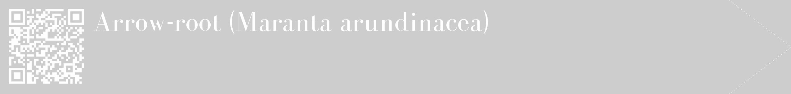 Étiquette de : Maranta arundinacea - format c - style blanche41_simple_simplebod avec qrcode et comestibilité