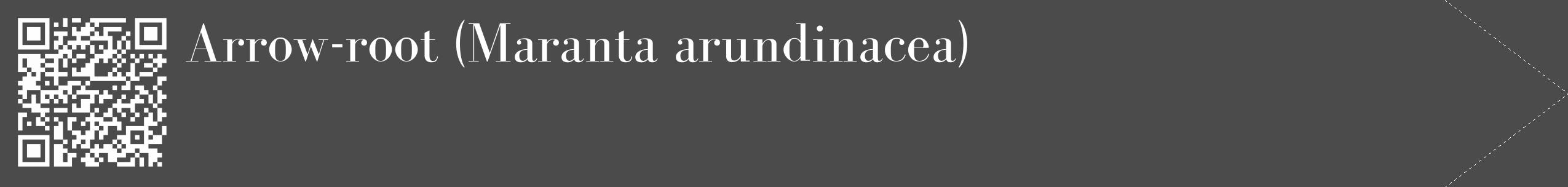 Étiquette de : Maranta arundinacea - format c - style blanche9_simple_simplebod avec qrcode et comestibilité
