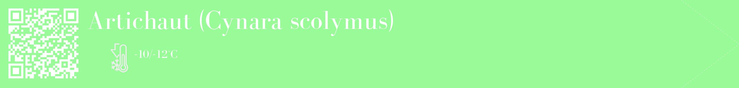 Étiquette de : Cynara scolymus - format c - style blanche14_simple_simplebod avec qrcode et comestibilité