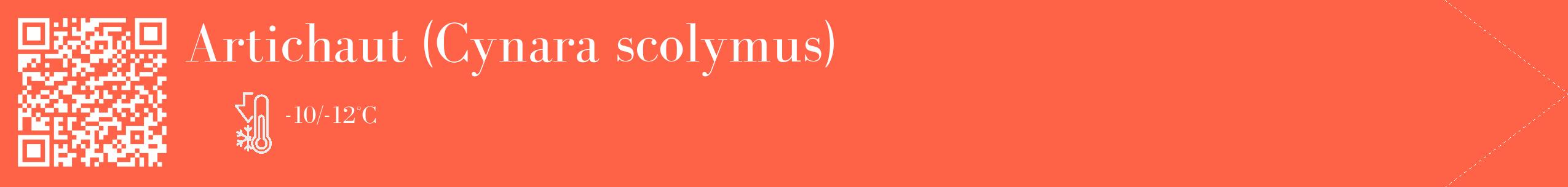 Étiquette de : Cynara scolymus - format c - style blanche25_simple_simplebod avec qrcode et comestibilité