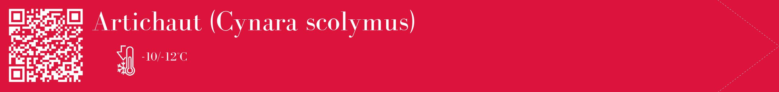 Étiquette de : Cynara scolymus - format c - style blanche36_simple_simplebod avec qrcode et comestibilité