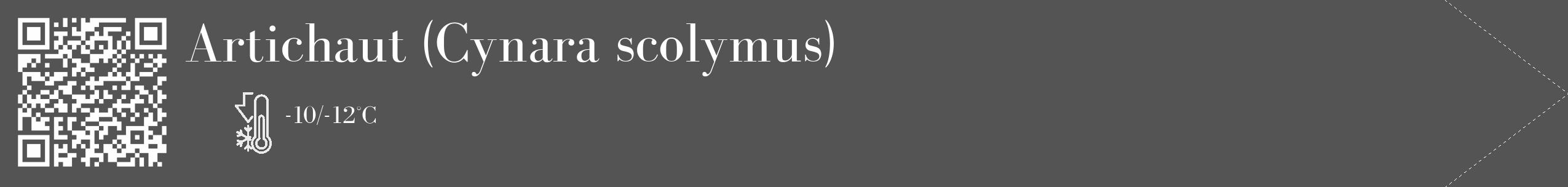 Étiquette de : Cynara scolymus - format c - style blanche36_simple_simplebod avec qrcode et comestibilité