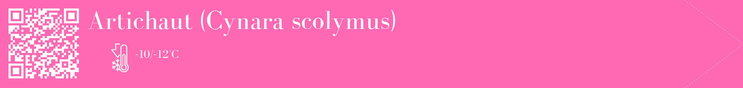 Étiquette de : Cynara scolymus - format c - style blanche42_simple_simplebod avec qrcode et comestibilité