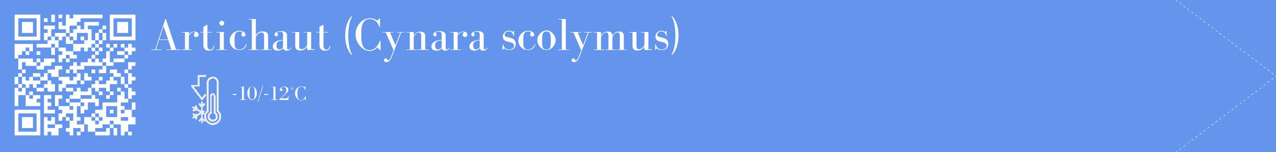 Étiquette de : Cynara scolymus - format c - style blanche4_simple_simplebod avec qrcode et comestibilité