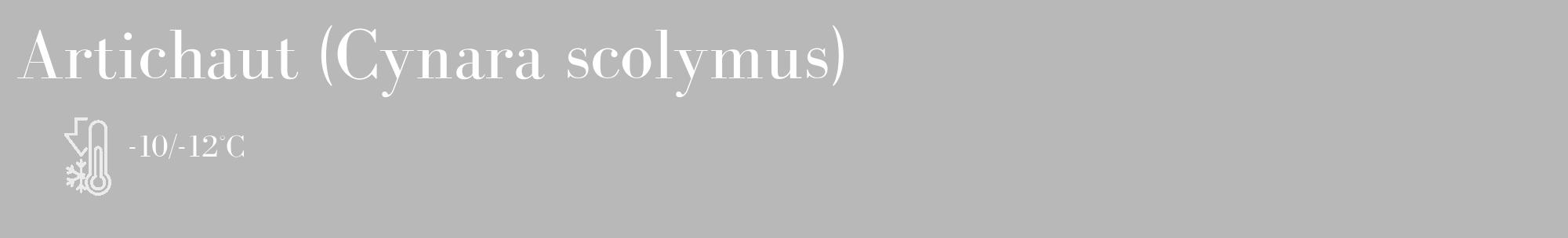 Étiquette de : Cynara scolymus - format c - style blanche39_basique_basiquebod avec comestibilité