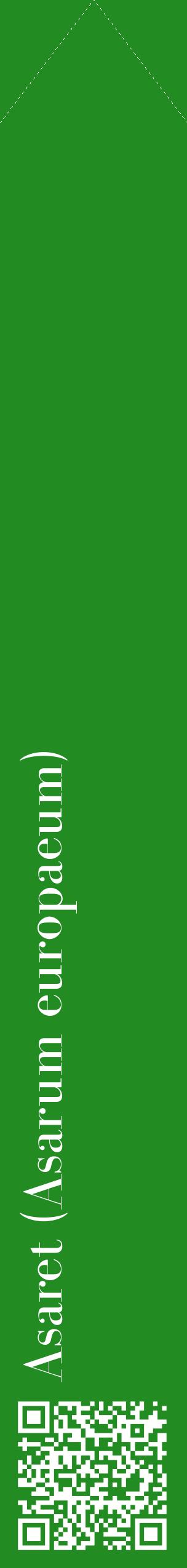 Étiquette de : Asarum europaeum - format c - style blanche10_simplebod avec qrcode et comestibilité