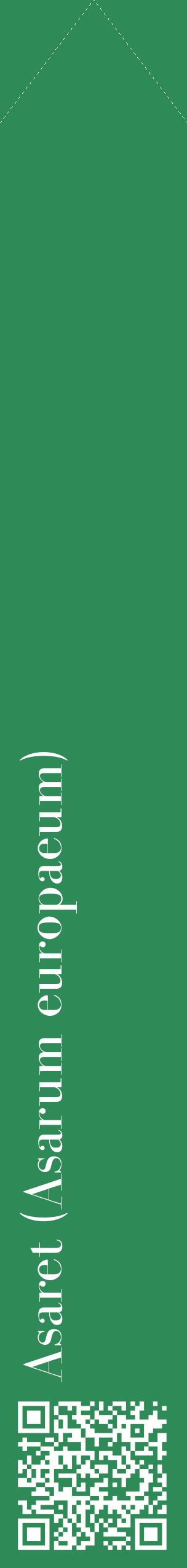 Étiquette de : Asarum europaeum - format c - style blanche11_simplebod avec qrcode et comestibilité