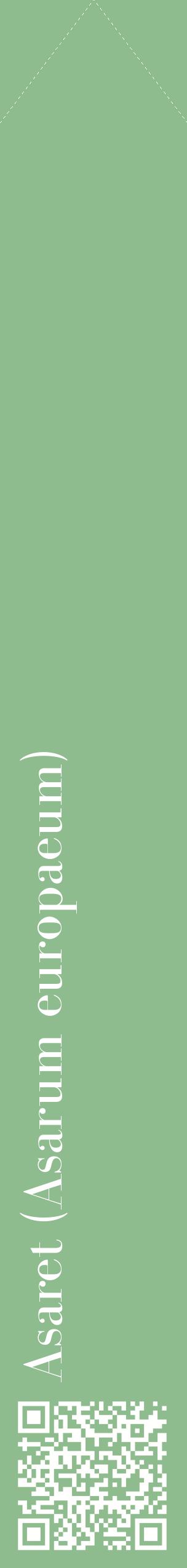 Étiquette de : Asarum europaeum - format c - style blanche13_simplebod avec qrcode et comestibilité