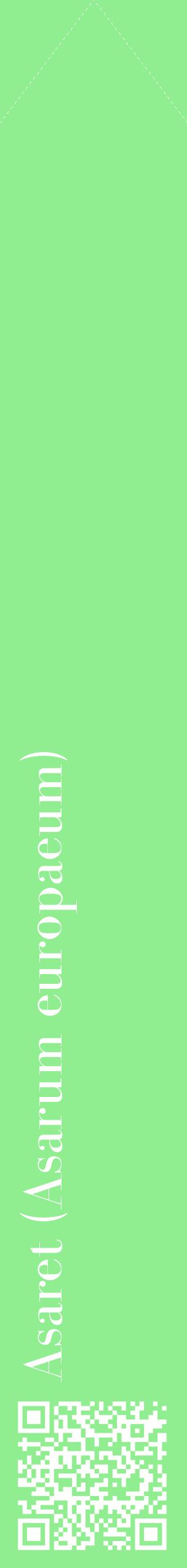 Étiquette de : Asarum europaeum - format c - style blanche15_simplebod avec qrcode et comestibilité