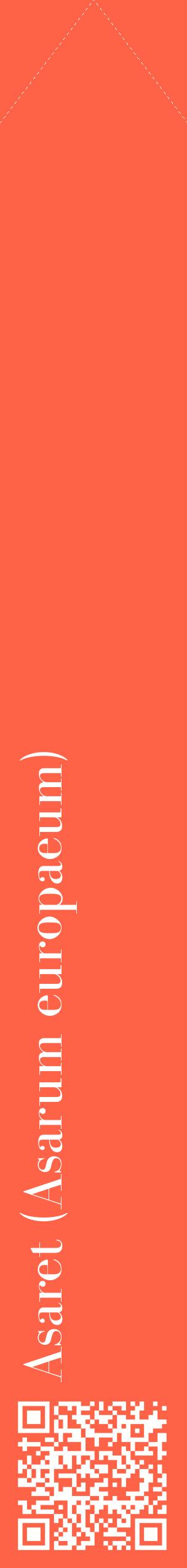 Étiquette de : Asarum europaeum - format c - style blanche25_simplebod avec qrcode et comestibilité