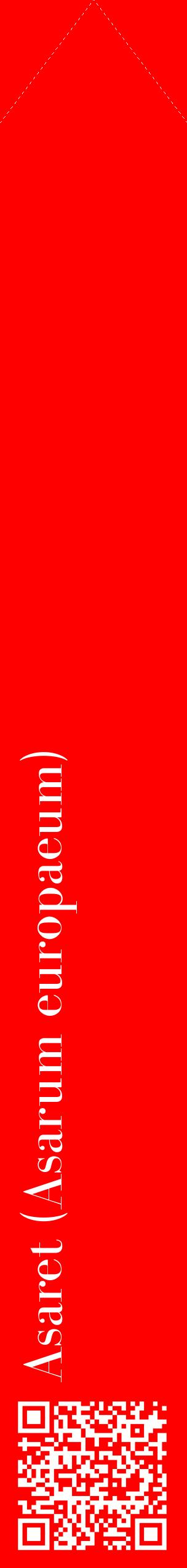 Étiquette de : Asarum europaeum - format c - style blanche27_simplebod avec qrcode et comestibilité