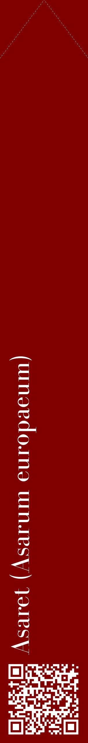 Étiquette de : Asarum europaeum - format c - style blanche29_simplebod avec qrcode et comestibilité