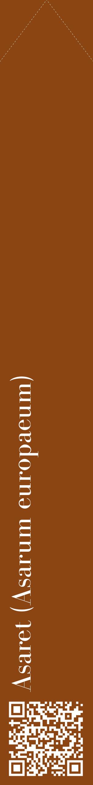 Étiquette de : Asarum europaeum - format c - style blanche30_simplebod avec qrcode et comestibilité
