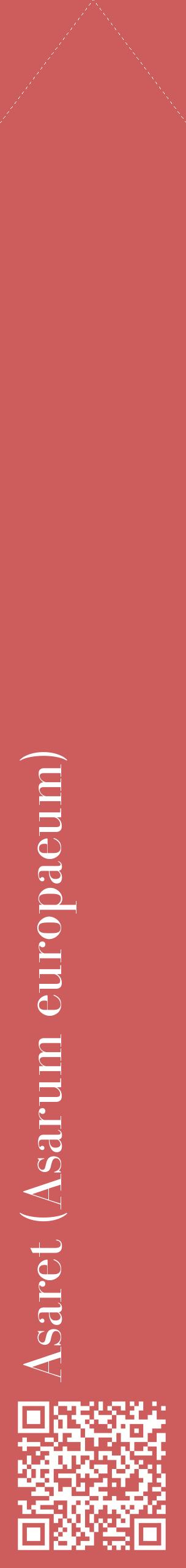 Étiquette de : Asarum europaeum - format c - style blanche35_simplebod avec qrcode et comestibilité