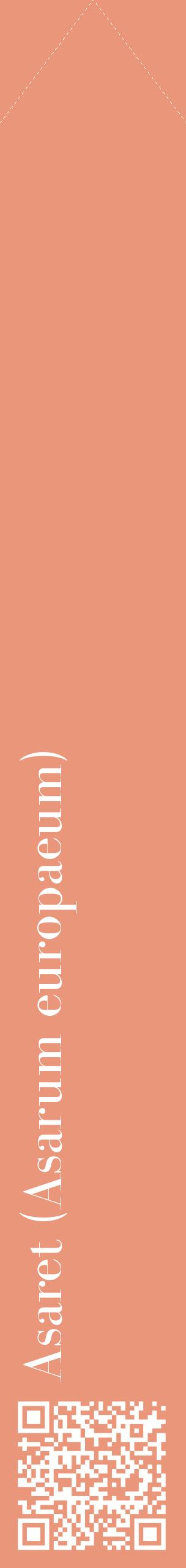 Étiquette de : Asarum europaeum - format c - style blanche37_simplebod avec qrcode et comestibilité