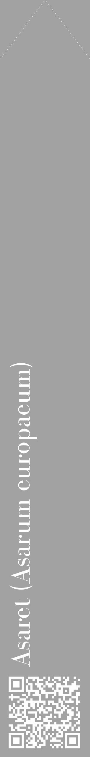 Étiquette de : Asarum europaeum - format c - style blanche38_simple_simplebod avec qrcode et comestibilité - position verticale