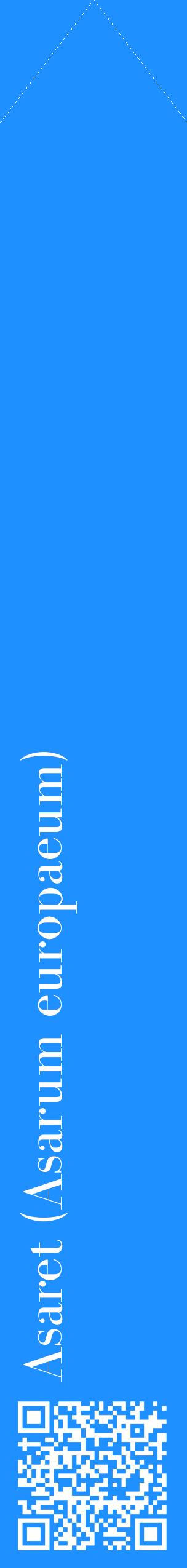 Étiquette de : Asarum europaeum - format c - style blanche3_simplebod avec qrcode et comestibilité