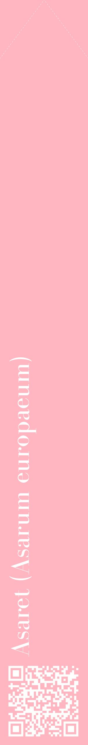 Étiquette de : Asarum europaeum - format c - style blanche41_simplebod avec qrcode et comestibilité