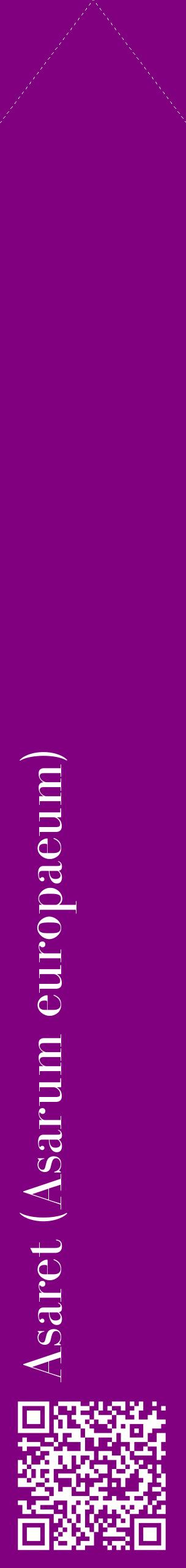 Étiquette de : Asarum europaeum - format c - style blanche46_simplebod avec qrcode et comestibilité