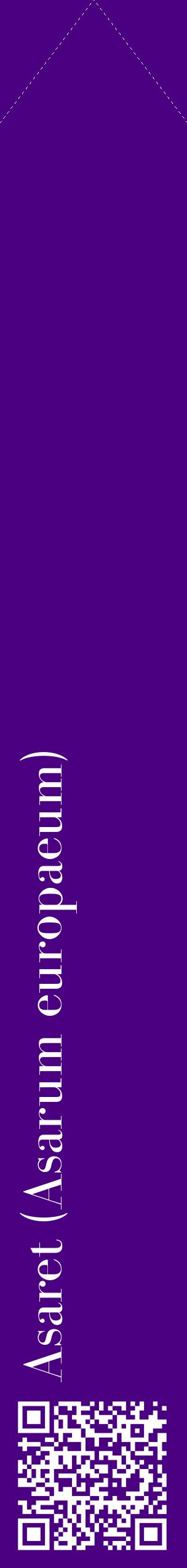 Étiquette de : Asarum europaeum - format c - style blanche47_simplebod avec qrcode et comestibilité