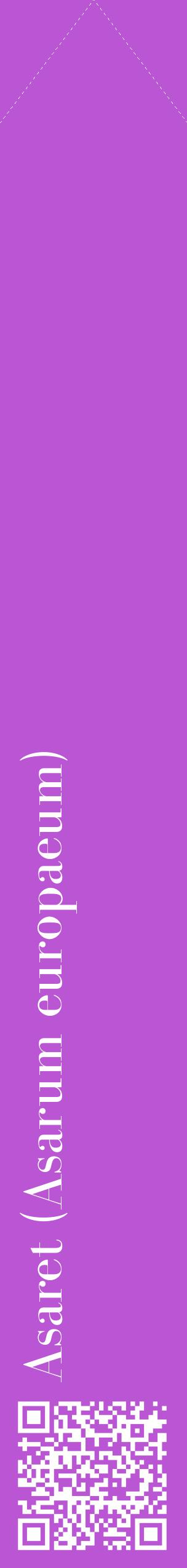Étiquette de : Asarum europaeum - format c - style blanche50_simplebod avec qrcode et comestibilité