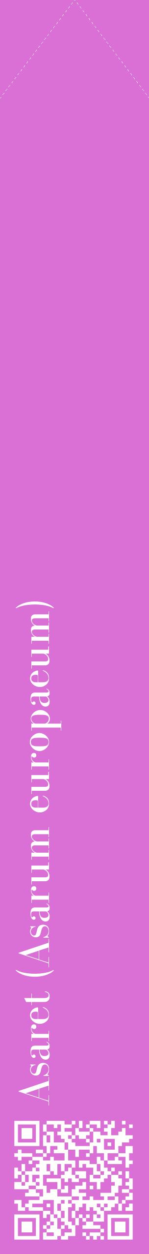 Étiquette de : Asarum europaeum - format c - style blanche52_simplebod avec qrcode et comestibilité