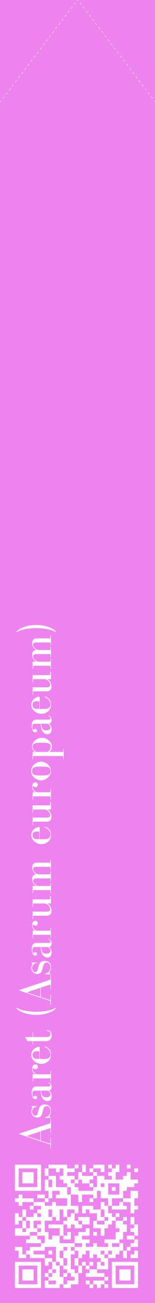Étiquette de : Asarum europaeum - format c - style blanche53_simplebod avec qrcode et comestibilité