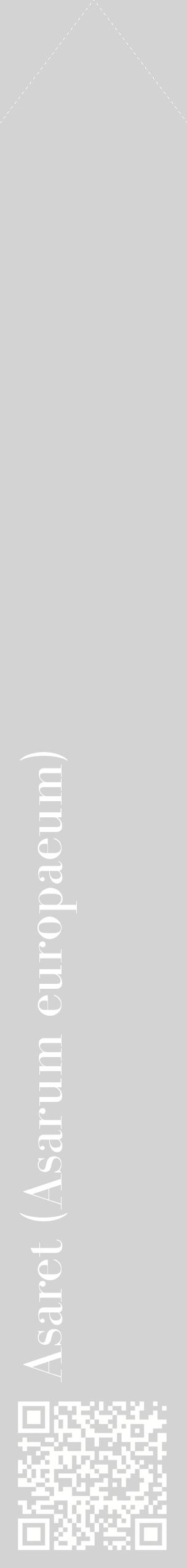 Étiquette de : Asarum europaeum - format c - style blanche56_simplebod avec qrcode et comestibilité
