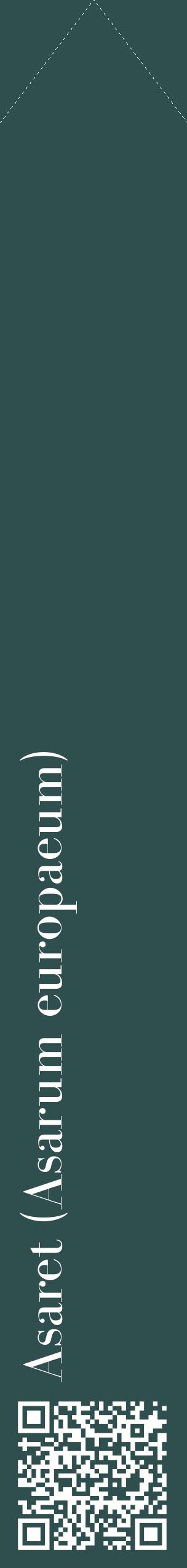 Étiquette de : Asarum europaeum - format c - style blanche58_simplebod avec qrcode et comestibilité