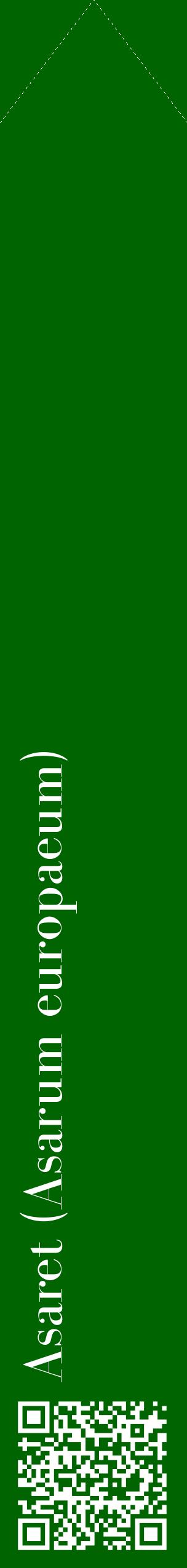 Étiquette de : Asarum europaeum - format c - style blanche8_simplebod avec qrcode et comestibilité