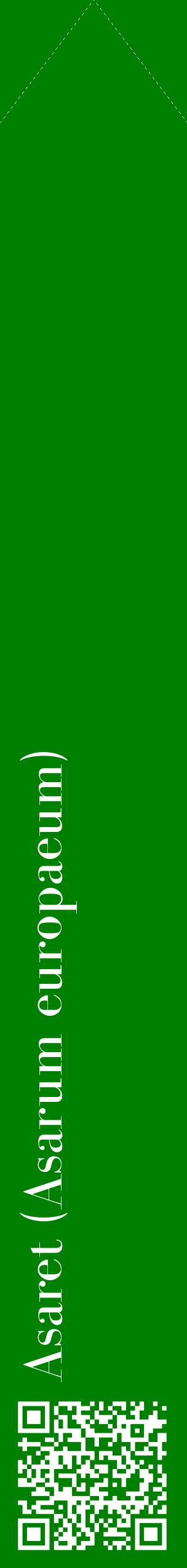 Étiquette de : Asarum europaeum - format c - style blanche9_simplebod avec qrcode et comestibilité