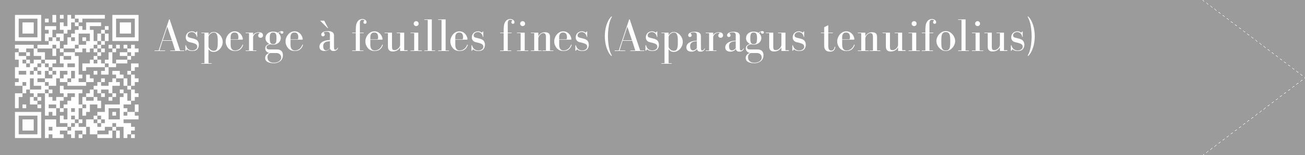 Étiquette de : Asparagus tenuifolius - format c - style blanche52_simple_simplebod avec qrcode et comestibilité