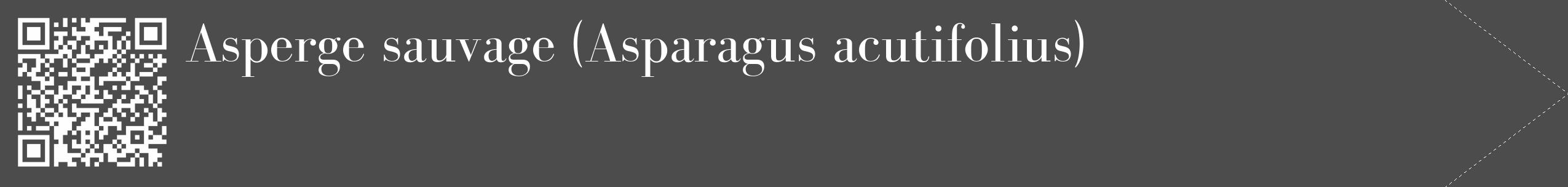 Étiquette de : Asparagus acutifolius - format c - style blanche27_simple_simplebod avec qrcode et comestibilité