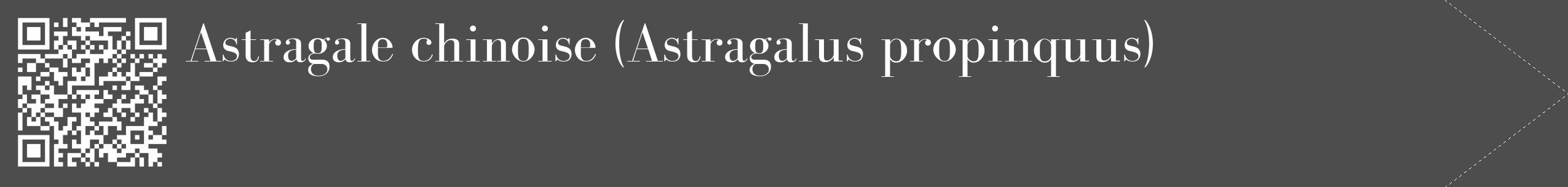 Étiquette de : Astragalus propinquus - format c - style blanche28_simple_simplebod avec qrcode et comestibilité
