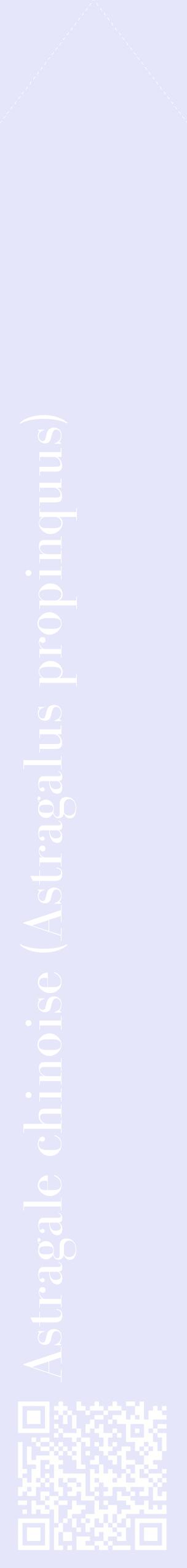 Étiquette de : Astragalus propinquus - format c - style blanche55_simplebod avec qrcode et comestibilité