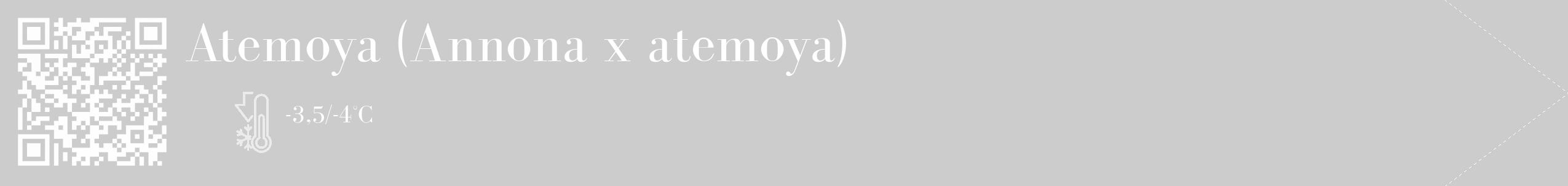 Étiquette de : Annona x atemoya - format c - style blanche0_simple_simplebod avec qrcode et comestibilité