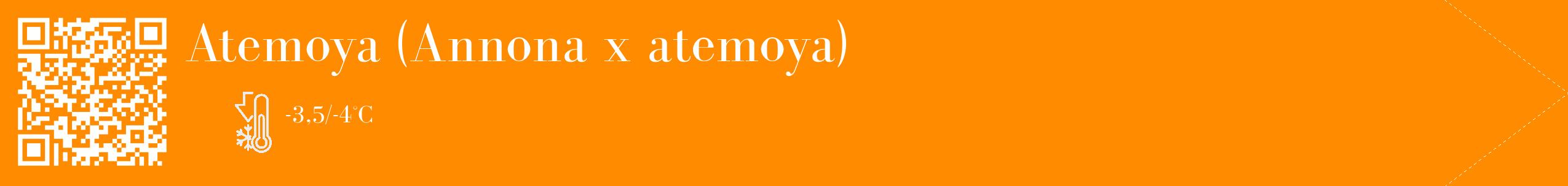 Étiquette de : Annona x atemoya - format c - style blanche23_simple_simplebod avec qrcode et comestibilité