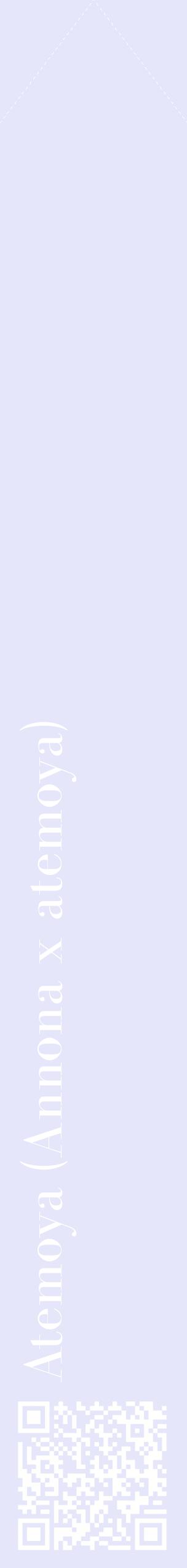 Étiquette de : Annona x atemoya - format c - style blanche55_simplebod avec qrcode et comestibilité