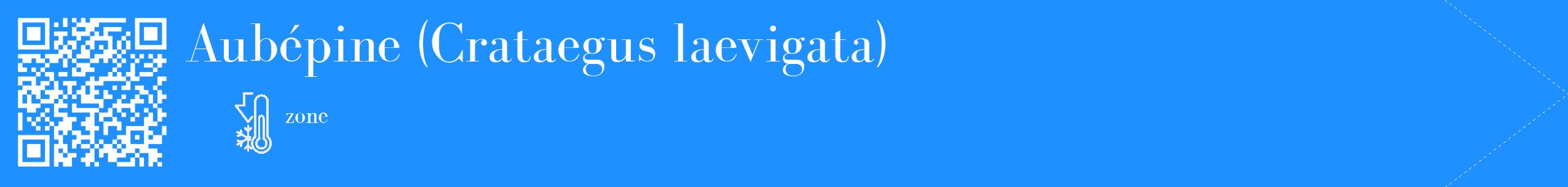 Étiquette de : Crataegus laevigata - format c - style blanche3_simple_simplebod avec qrcode et comestibilité