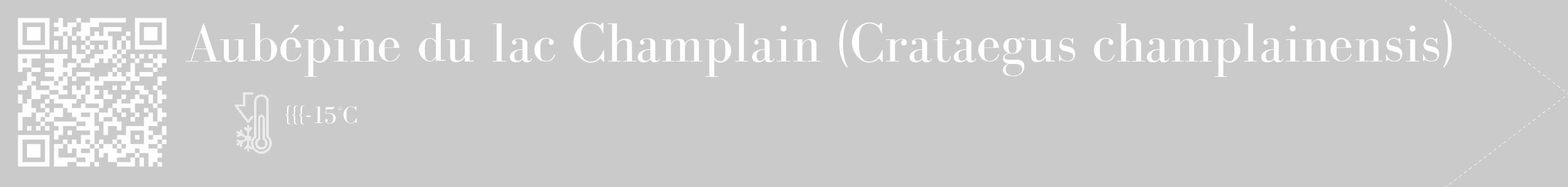 Étiquette de : Crataegus champlainensis - format c - style blanche21_simple_simplebod avec qrcode et comestibilité