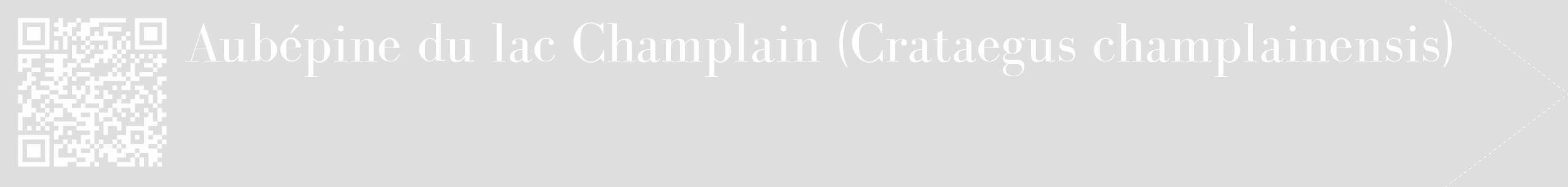 Étiquette de : Crataegus champlainensis - format c - style blanche20_simple_simplebod avec qrcode et comestibilité