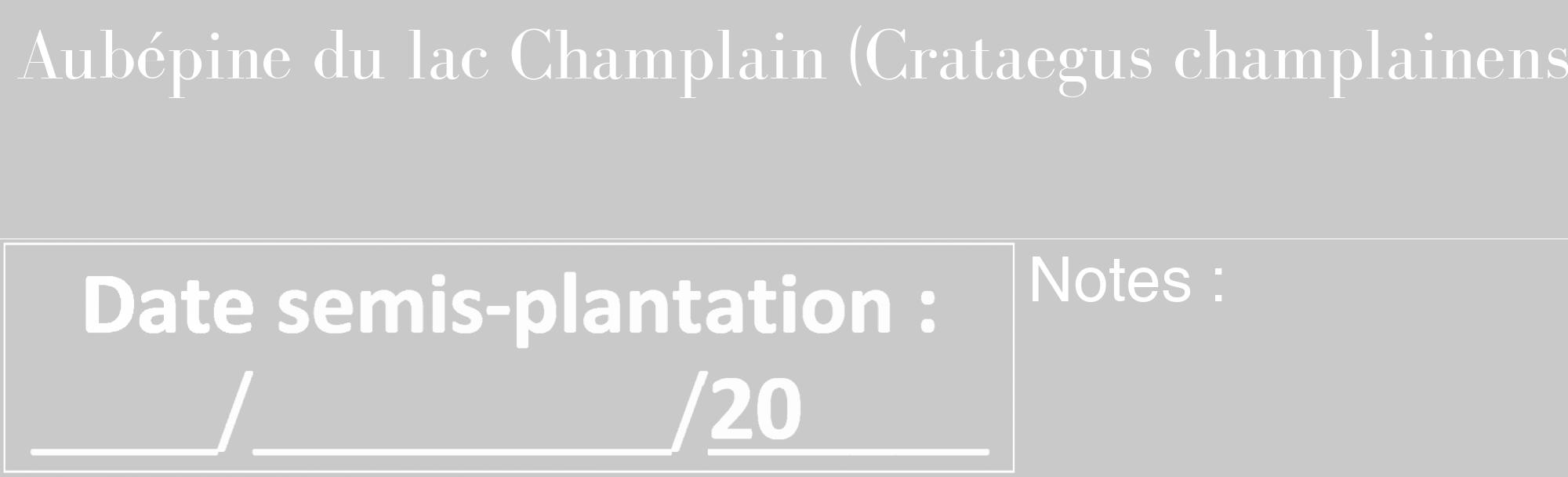 Étiquette de : Crataegus champlainensis - format c - style blanche54_basique_basiquebod avec comestibilité