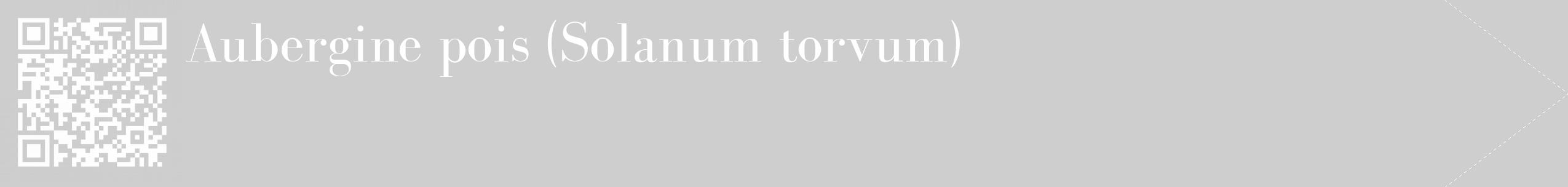 Étiquette de : Solanum torvum - format c - style blanche17_simple_simplebod avec qrcode et comestibilité