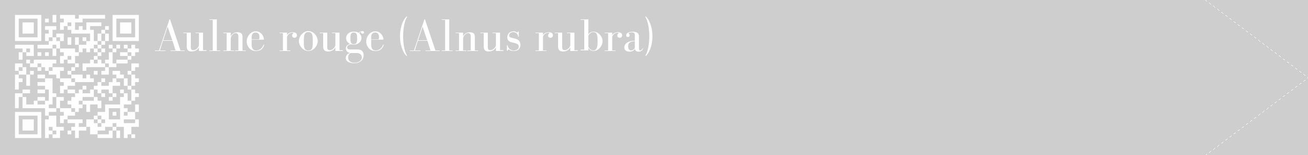 Étiquette de : Alnus rubra - format c - style blanche17_simple_simplebod avec qrcode et comestibilité