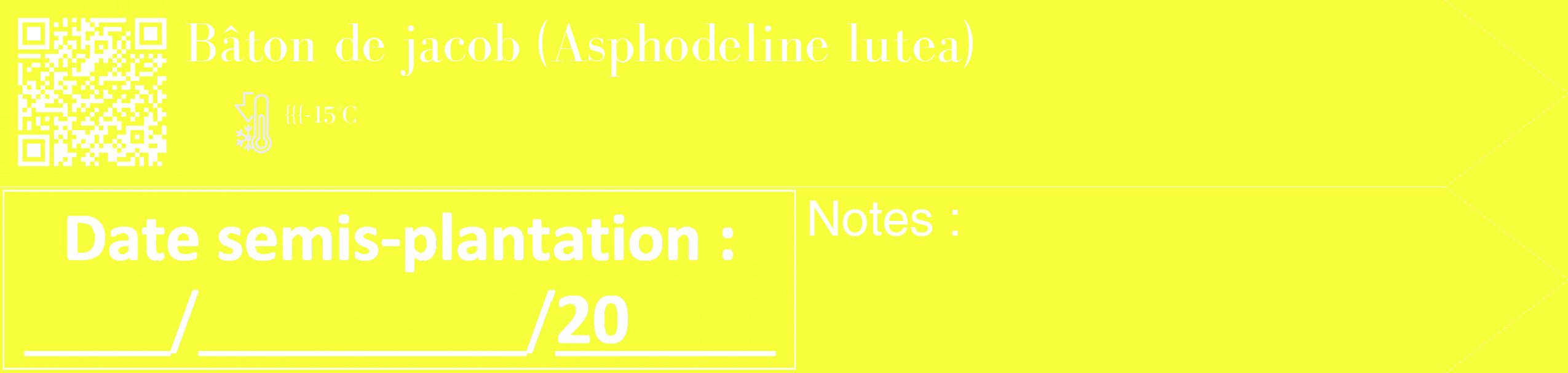 Étiquette de : Asphodeline lutea - format c - style blanche18_simple_simplebod avec qrcode et comestibilité