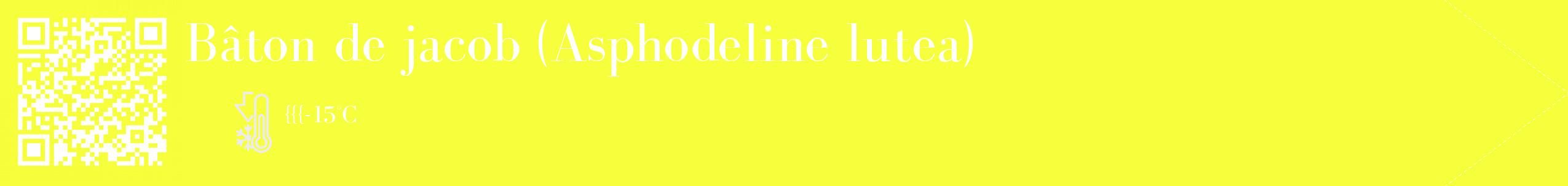 Étiquette de : Asphodeline lutea - format c - style blanche18_simple_simplebod avec qrcode et comestibilité