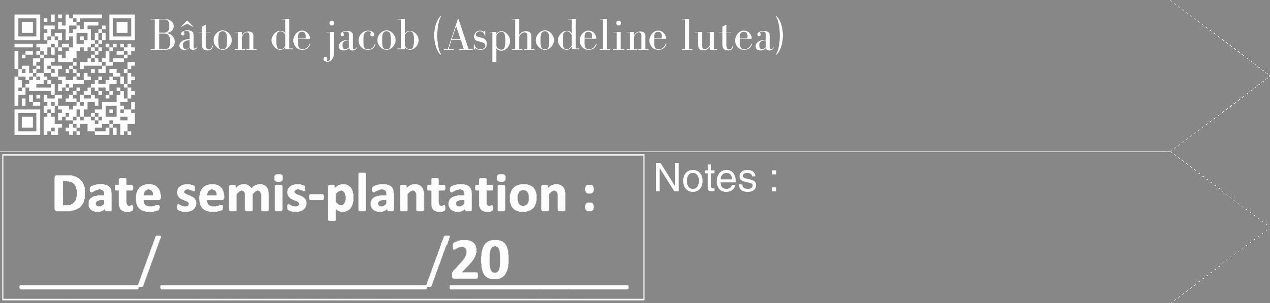 Étiquette de : Asphodeline lutea - format c - style blanche12_simple_simplebod avec qrcode et comestibilité