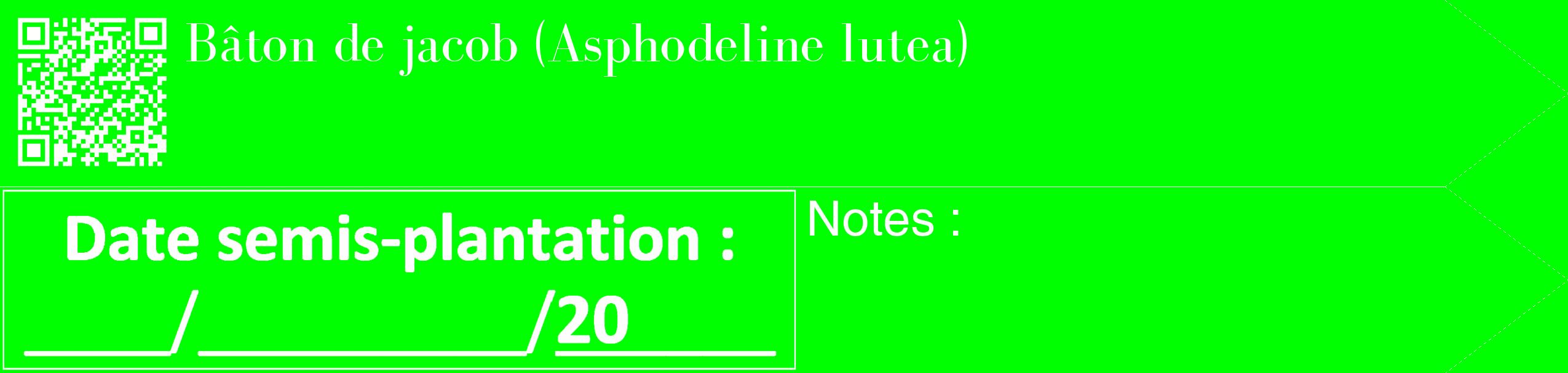 Étiquette de : Asphodeline lutea - format c - style blanche16_simple_simplebod avec qrcode et comestibilité