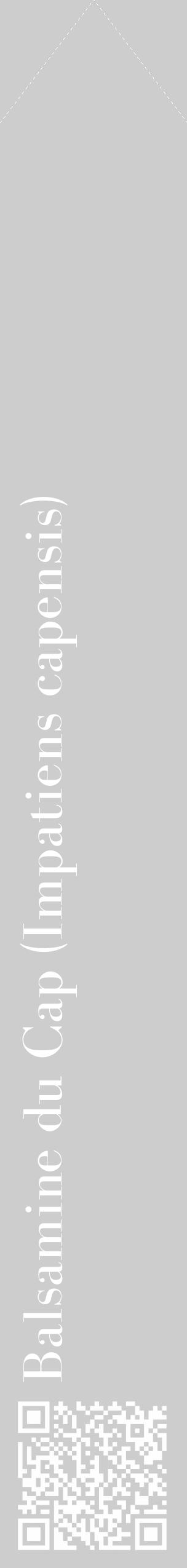 Étiquette de : Impatiens capensis - format c - style blanche41_simple_simplebod avec qrcode et comestibilité - position verticale